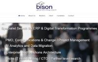 Bison Ltd image 2